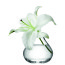 sprig_vase_lifestyle