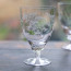 rsz_bistro_glasses_ferns_lifestyle 800